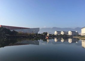 搜狐体育APP